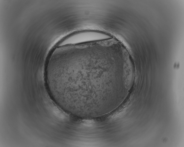 X0000092010391200709201535