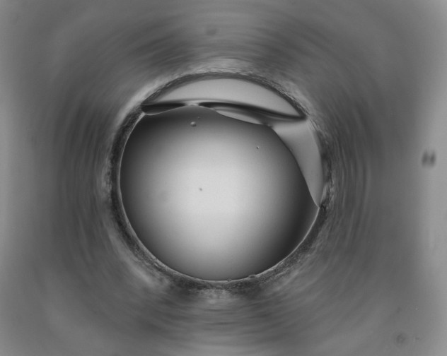 X0000092010392200709201535