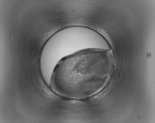 X0000092010393200709201535