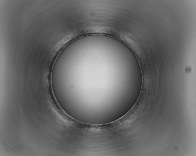 X0000092010394200709201535
