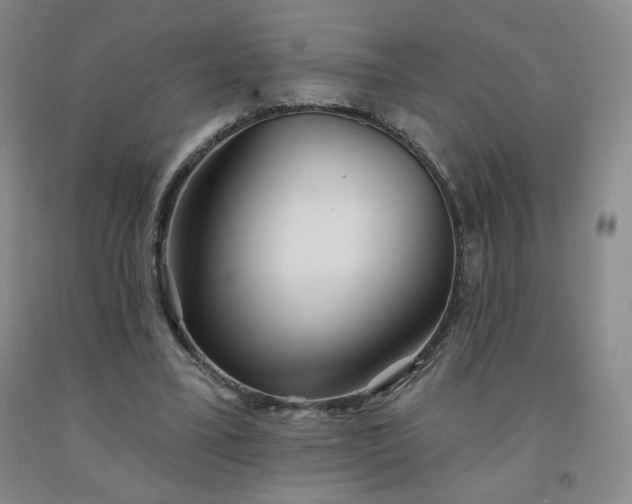X0000092010395200709201535