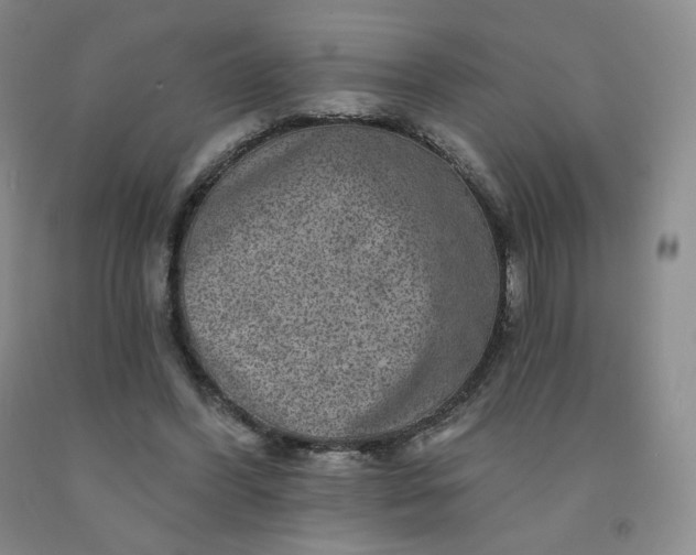X0000092010396200709201535