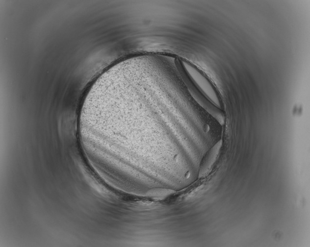 X0000092010397200709201535