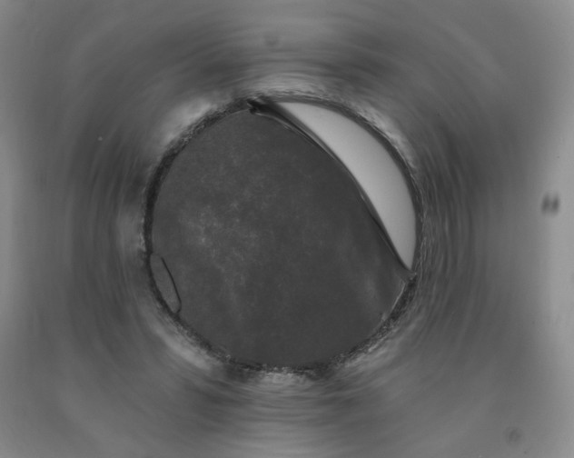 X0000092010399200709201535