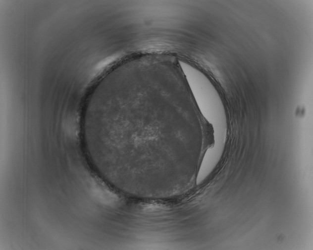 X0000092010400200709201535