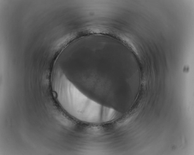 X0000092010402200709201535