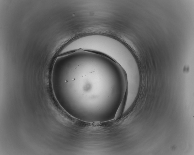 X0000092010403200709201534