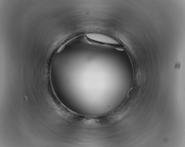 X0000092010407200709201534