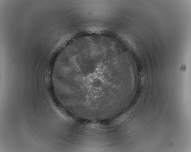 X0000092010408200709201534