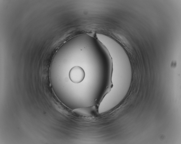 X0000092010409200709201534