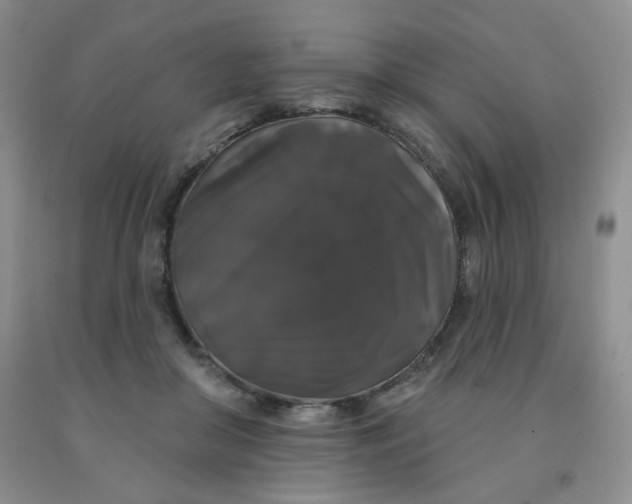 X0000092010410200709201534