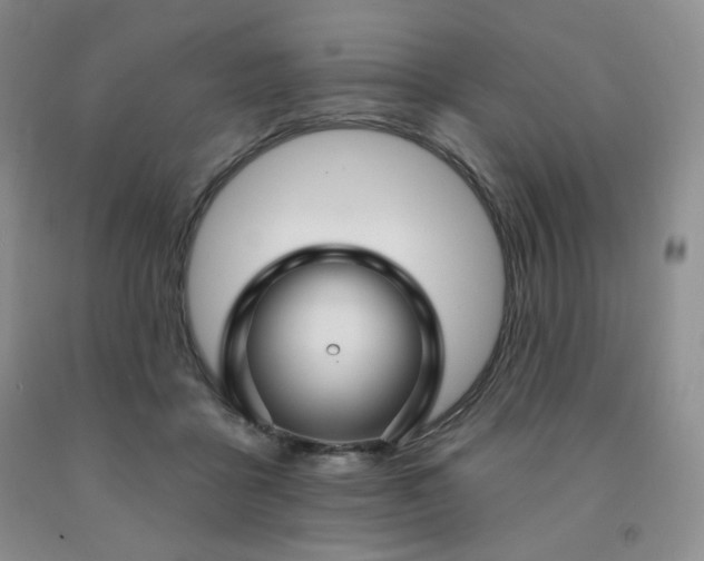 X0000092010411200709201534