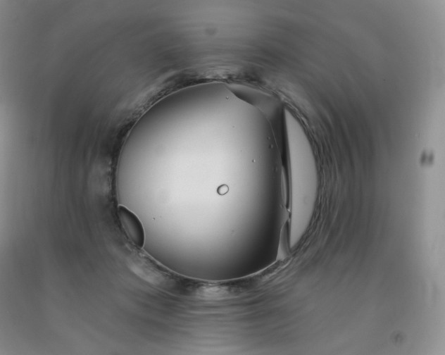 X0000092010413200709201534