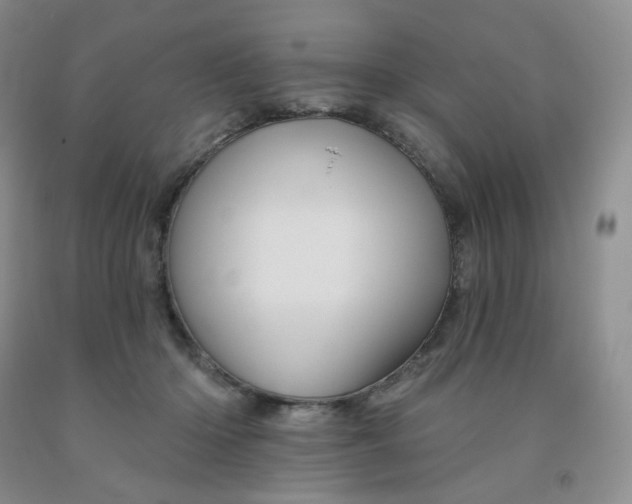 X0000092010414200709201534