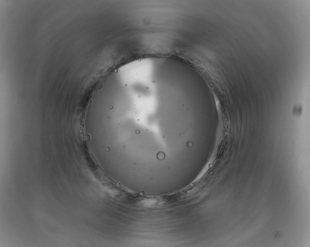 X0000092010415200709201534