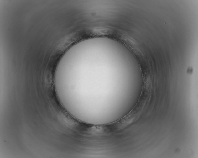 X0000092010418200709201534