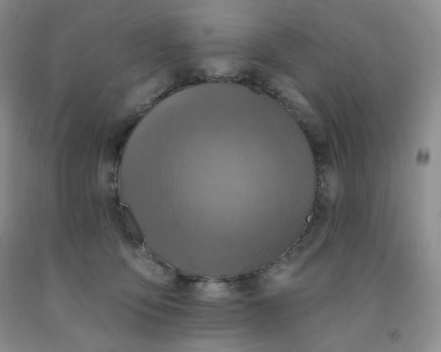 X0000092010419200709201534