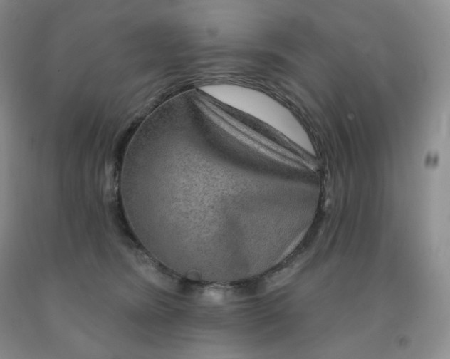 X0000092010420200709201534
