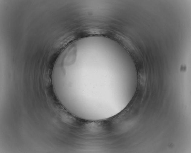 X0000092010422200709201534
