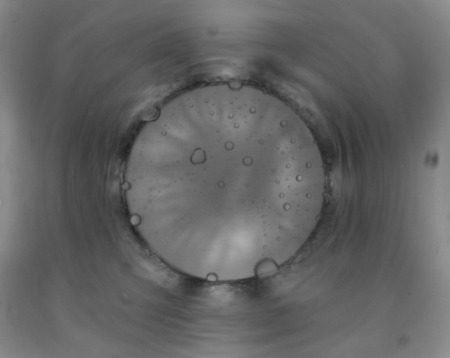 X0000092010423200709201534