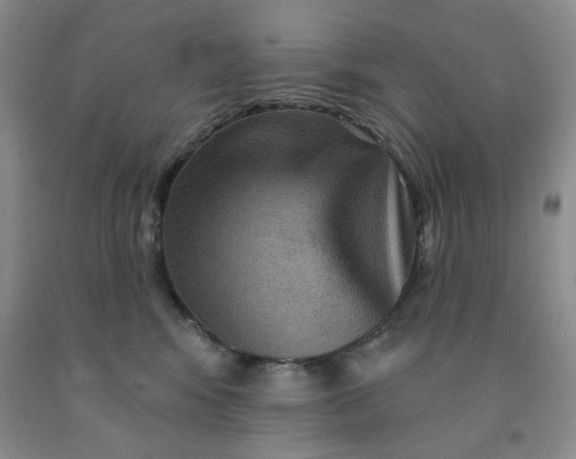 X0000092010424200709201534