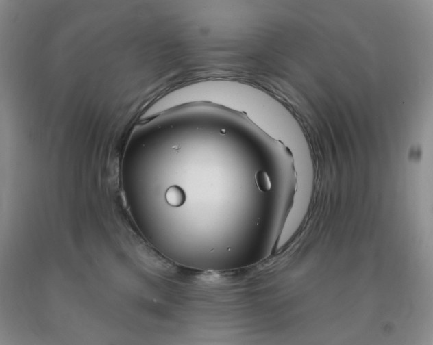 X0000092010425200709201534