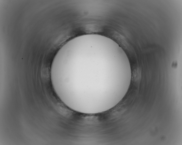 X0000092010426200709201534