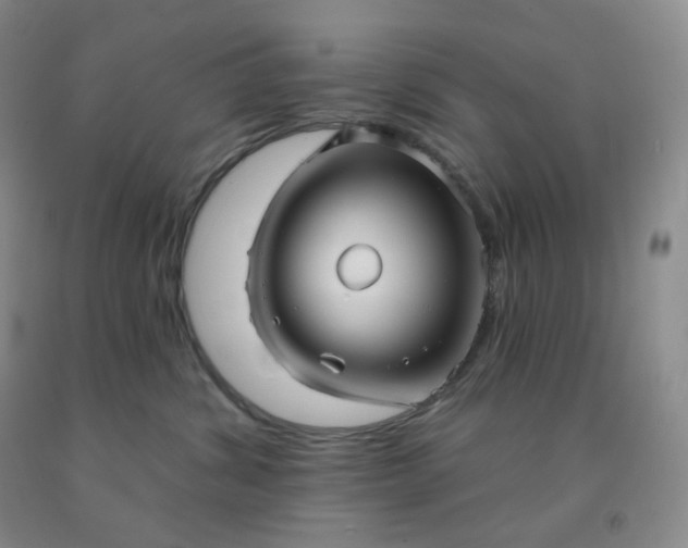 X0000092010428200709201534