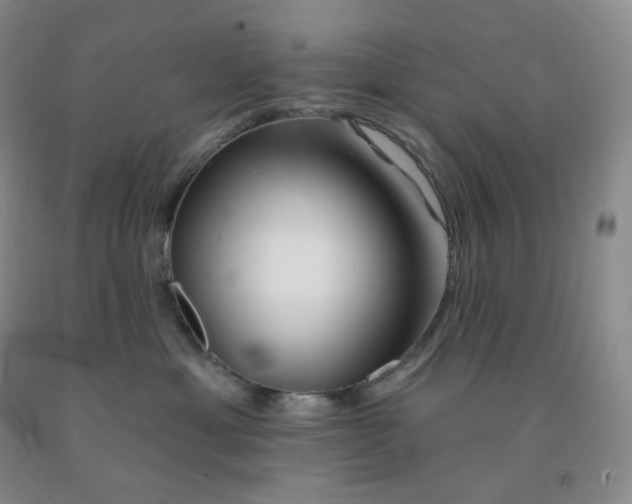 X0000092010429200709201534