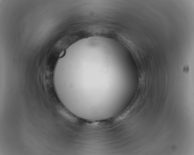 X0000092010430200709201534