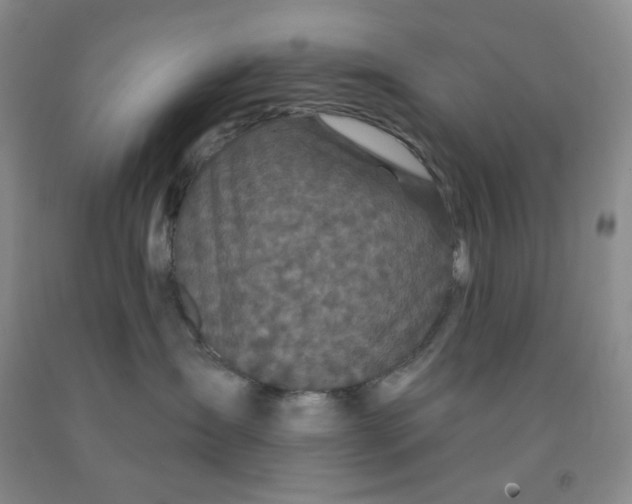 X0000092010431200709201534