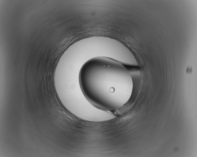X0000092010432200709201534