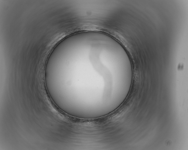 X0000092010433200709201534