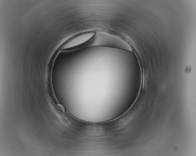 X0000092010435200709201534