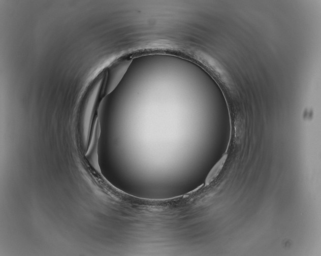 X0000092010436200709201534