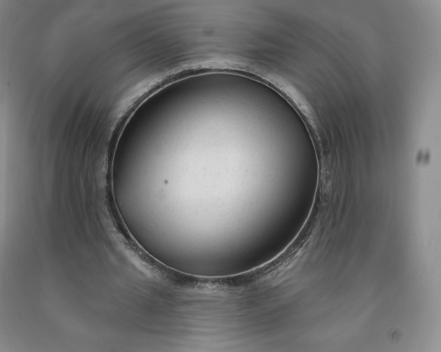 X0000092010437200709201534