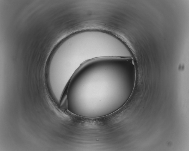 X0000092010439200709201534