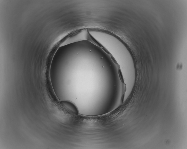X0000092010440200709201534