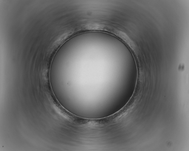 X0000092010441200709201534