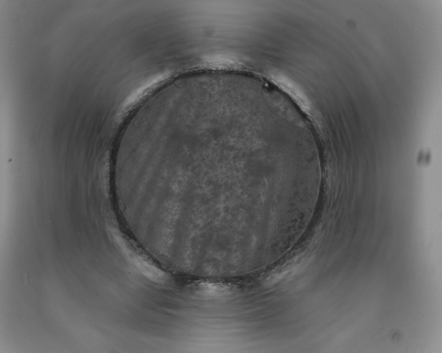 X0000092010442200709201534