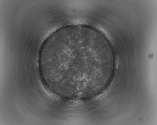 X0000092010443200709201534