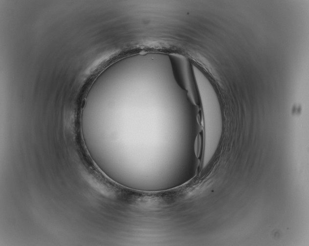 X0000092010444200709201534