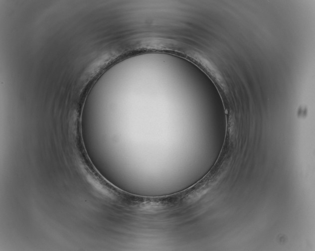 X0000092010445200709201534