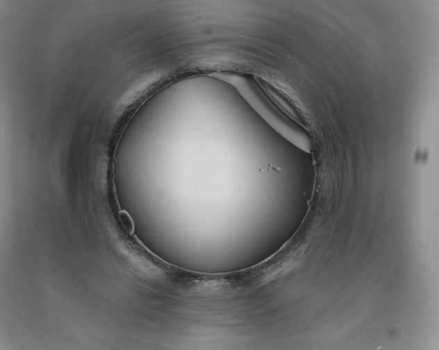 X0000092010446200709201534