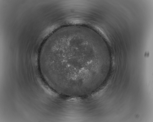 X0000092010447200709201534
