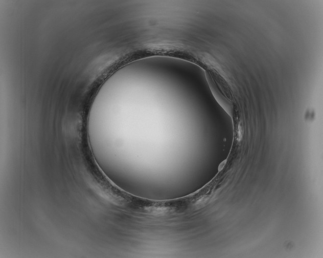 X0000092010448200709201534