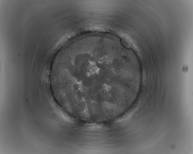 X0000092010449200709201534