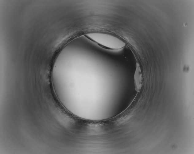 X0000092010450200709201534