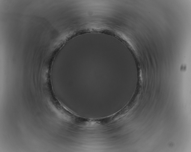 X0000092010451200709201534