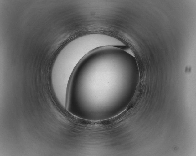X0000092010452200709201534